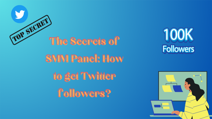 The Secrets of SMM Panel: How to get Twitter followers?