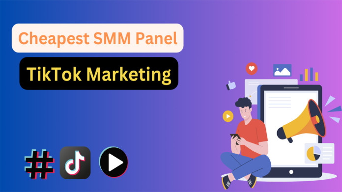 Why Do You Need the Cheapest SMM Panel for TikTok Marketing